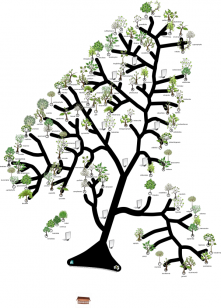 Tree of Trees layout diagram (press to see high resolution image 3MB)
