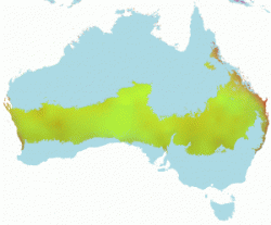 Geospatial Filtering