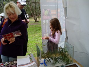 ANBG Open Day 2010 - Looking at the postcard & holding the stick insect