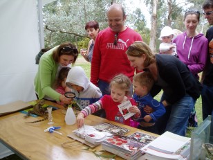 ANBG Open Day 2010 - Families looking at the stick insects and the display