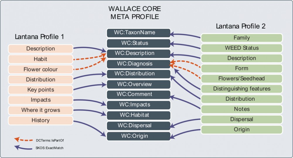 Wallace Core mappings for TRIN Wiki