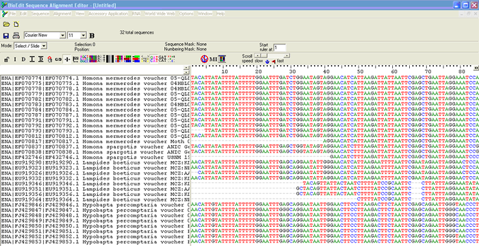 BioEdit Sequence Alignment Editor