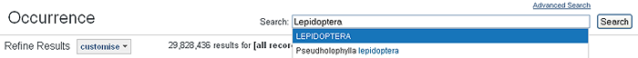 Search the occurrence records for Lepidoptera