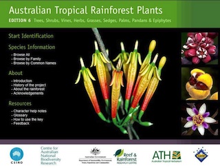 Names Of Rainforest Plants