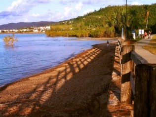 Beach and esplanade of Cannonvale Beach, Queensland