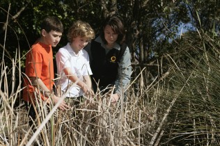 Two boys and a lady looking at long grass.