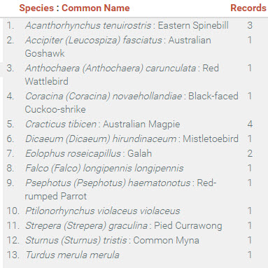 A table from the Atlas showing the bird records surrounding a primary school in the ACT