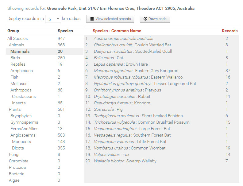 Table showing the mammals within a 5km radius of Theodore, ACT.