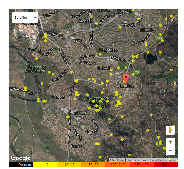 A map of the Theodore area showing the bird sightings