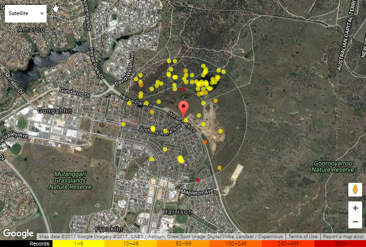 A map of the species occurrence records in a suburb of the ACT.