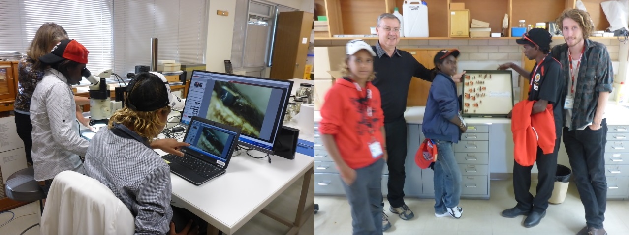 Left: Gaye Bourke, Lester Gumbula and Nehemiah Farrell at ANU Genetics Lab. Right: Looking at Leichhardt’s Grasshoppers at Australian National Insect Collection (see our previous blog about finding Lecihhardt’s Grasshopper)