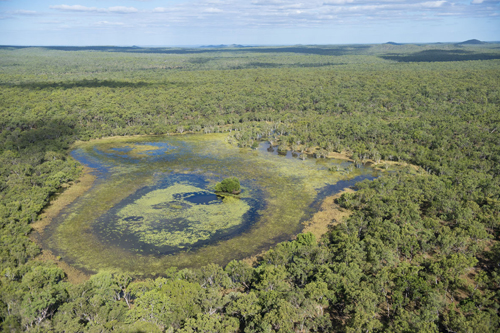 aerial view of Olkola Country