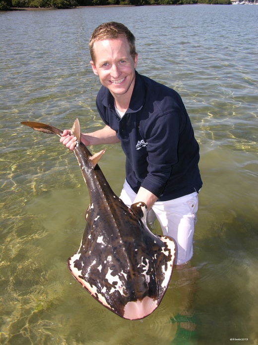 Magpie Fiddler Ray