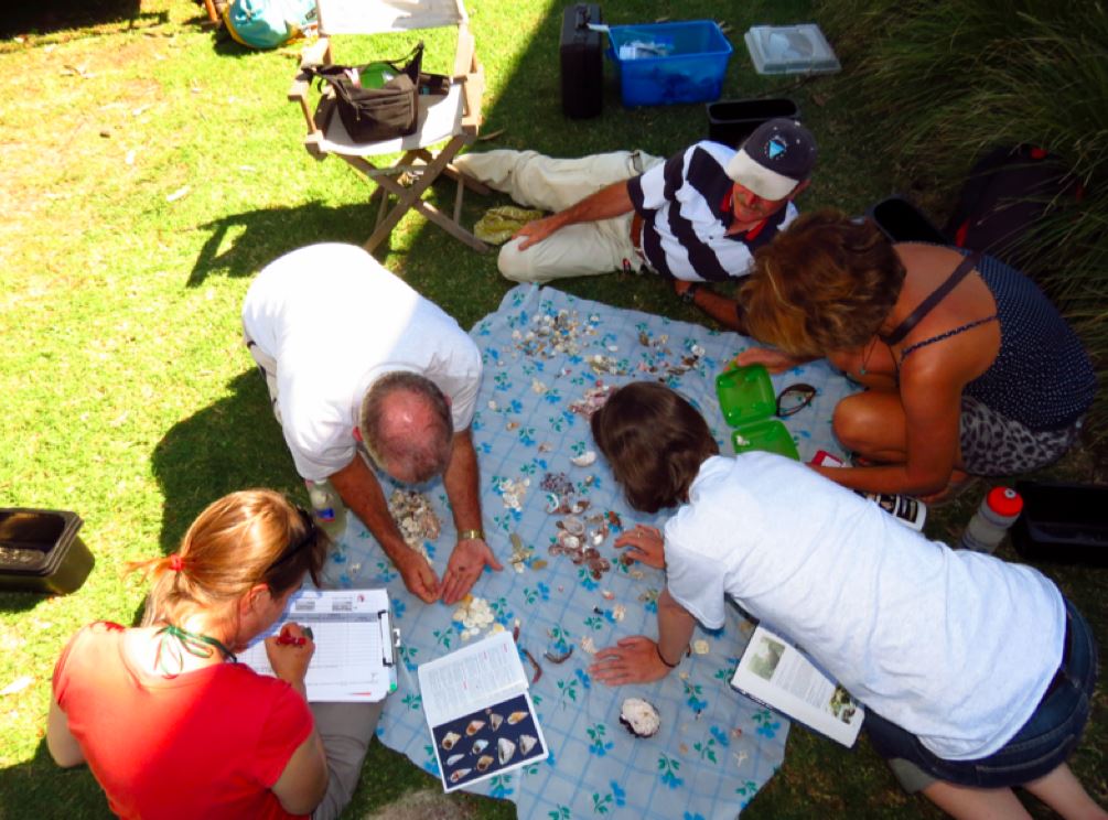 Scientists and volunteers working together to gather data and learn more about the ecosystem. Photo: courtesy of Atlas of Live in the Coastal Wilderness