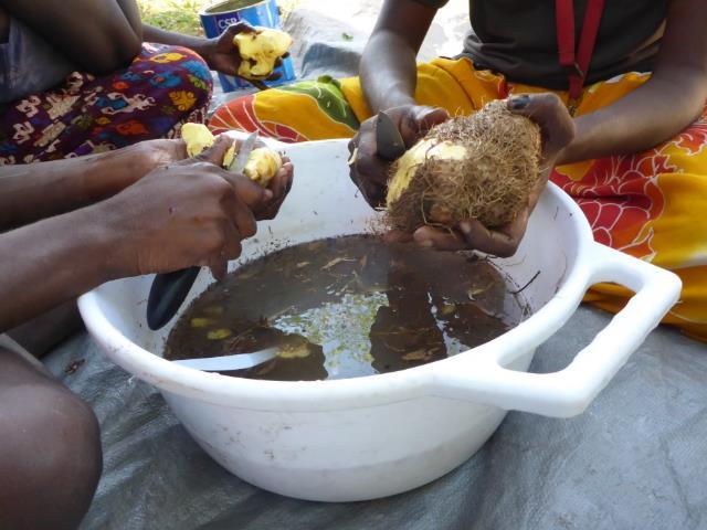 Image of cheeky yams being peeled