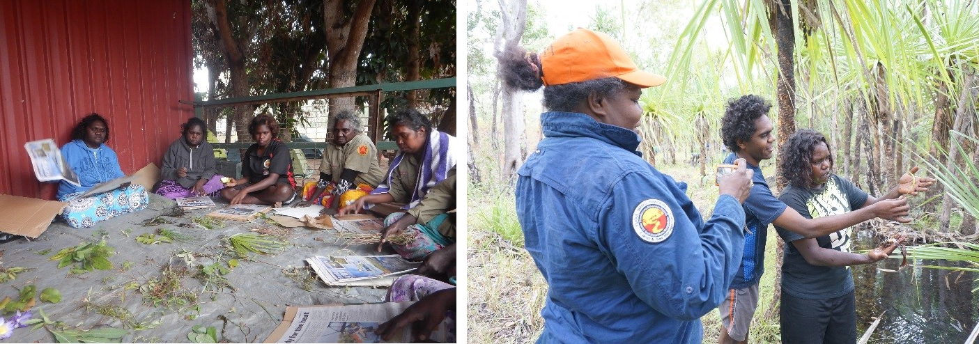 ngilipitji-pressing-plants-and-bush-food