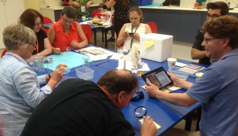 Teachers from the STEM X Academy use the ALA to identify what they caught in their traps