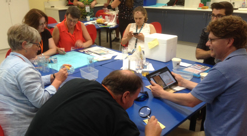 Teachers from the STEM X Academy use the ALA to identify what they caught in their traps