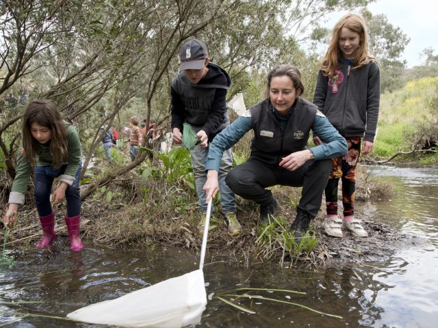 Search citizen science projects in your area