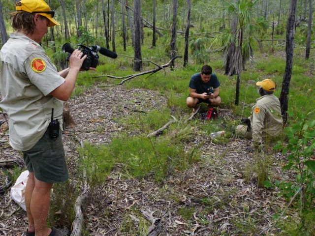 Find out more about the ALA's Indigenous ecological knowledge program