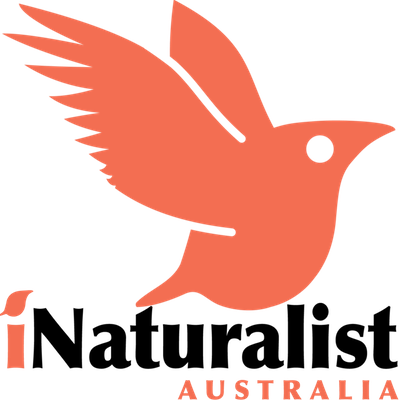 iNaturalist Australia logo