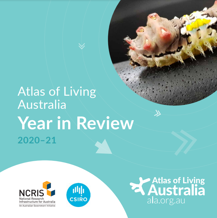 Front cover of ALA Year in Review 2020-21. It has a light blue background with a Mottled Cup Moth (Doratifera vulnerans) image. The NCRIS and CSIRO logos feature in bottom left.