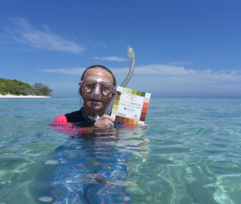 CoralWatch Health Chart being used by diver