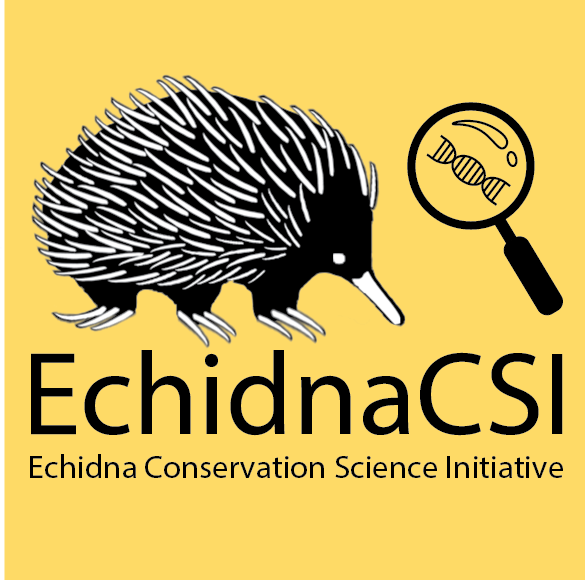 Echidna CSI logo