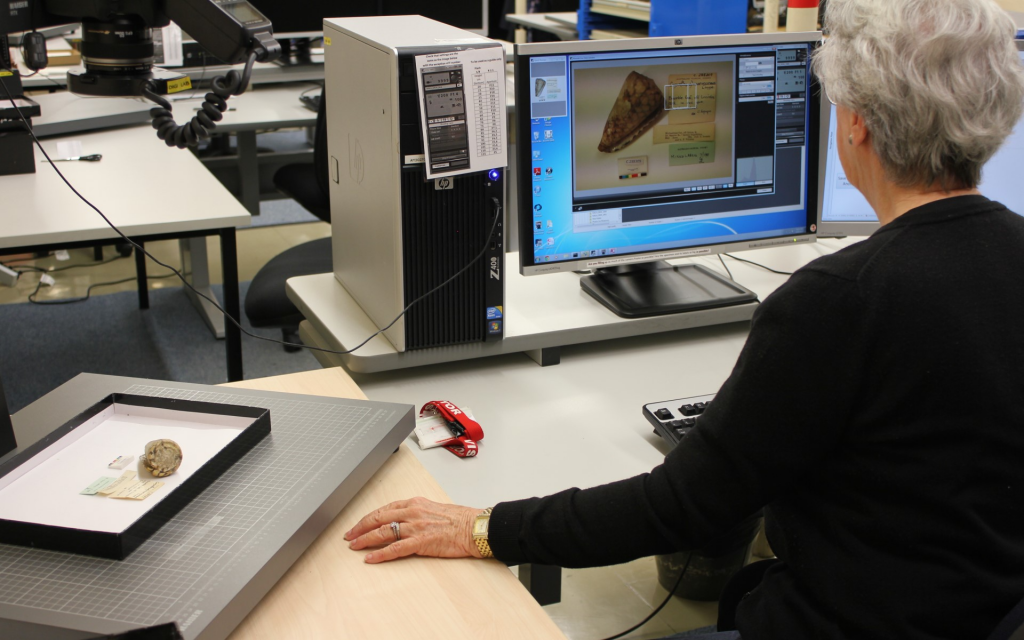 volunteer at a computer photographing a specimen