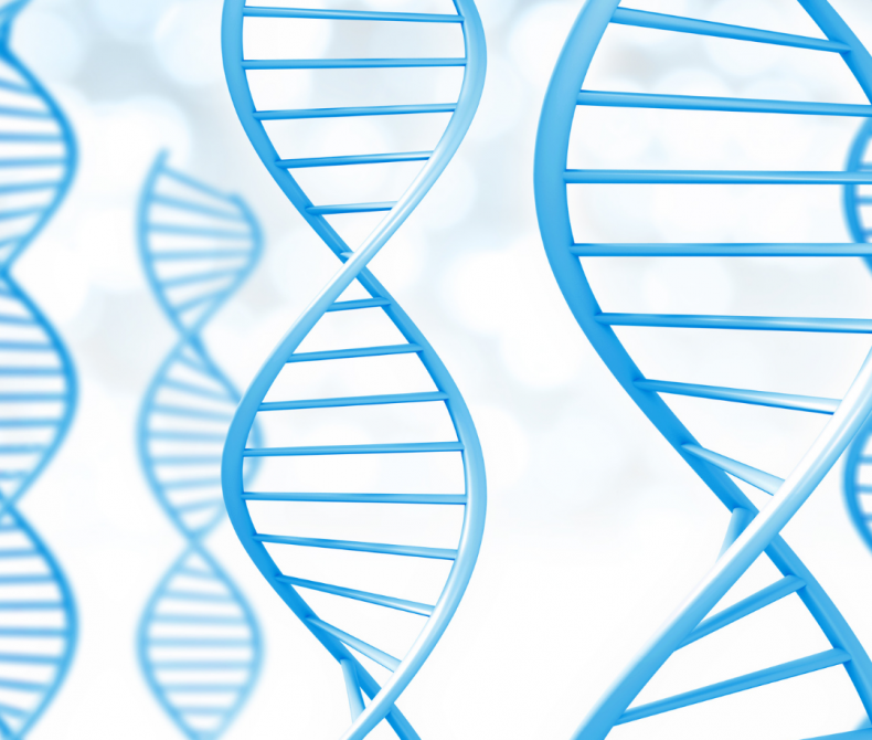 dna strands