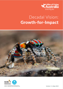 Cover of ALA decadal vision publication. 