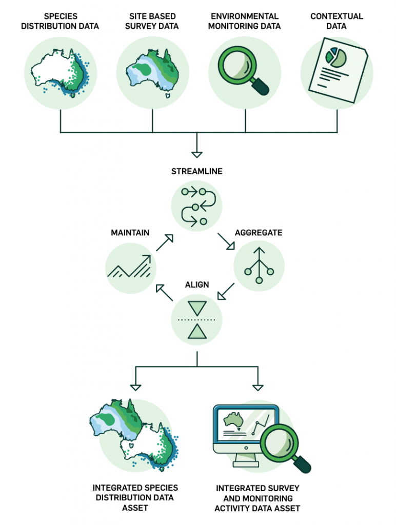 EcoAssets flowchart. Data from various sources, an arrow pointing to  streamlined, aggregated, aligned and maintained, two arrows pointing to data assets