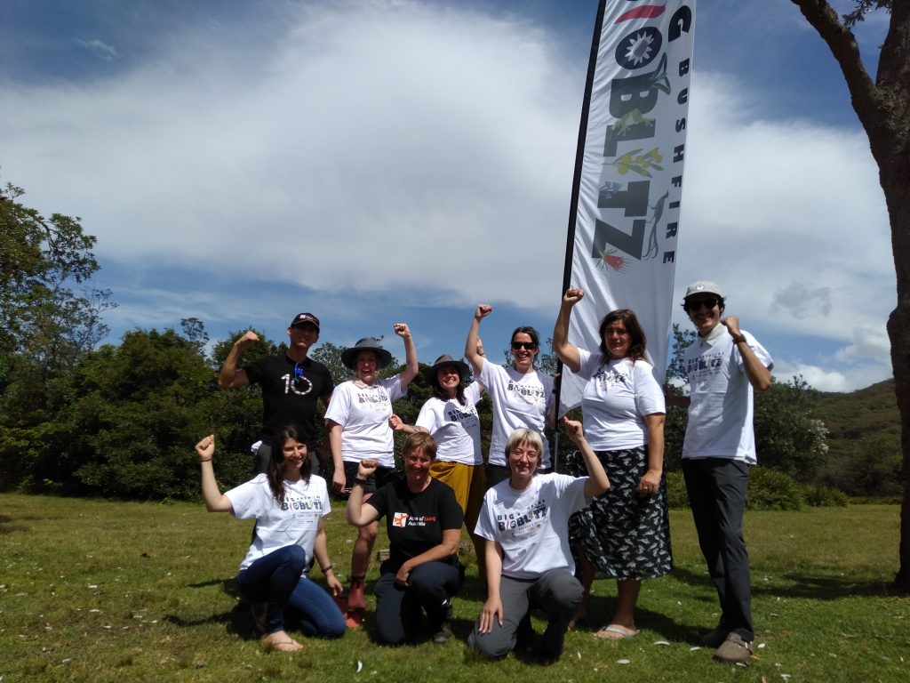 Multiple participants at the 2022 BioBlitz event outdoors