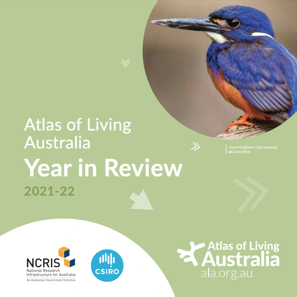 Front cover of ALA Year in Review 2021-22. It has a light green background with an Azure Kingfisher, a blue and orange bird. The NCRIS and CSIRO logos feature in bottom left.