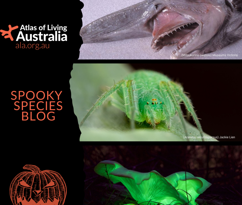 Spook Species banner