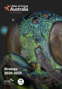 Cover of ALA Strategy