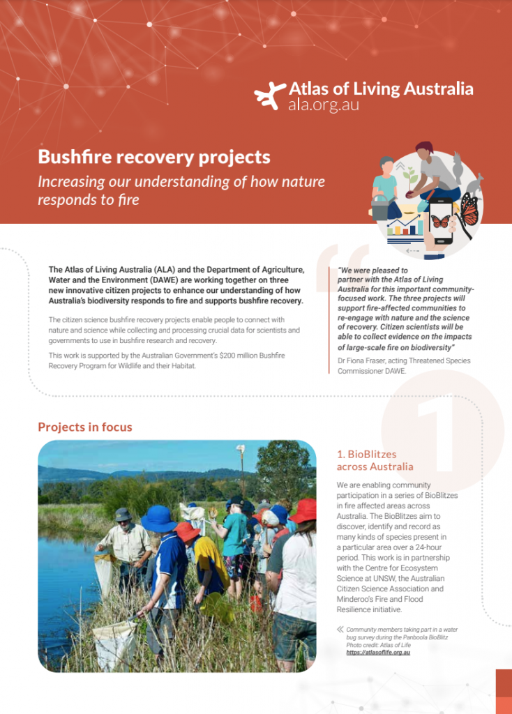 Bushfire recovery projects flyer