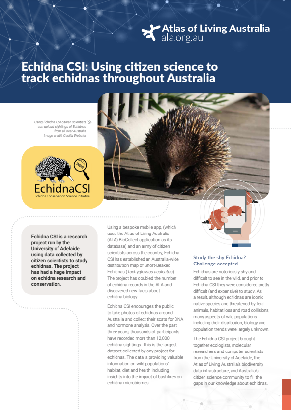 Echidna CSI flyer