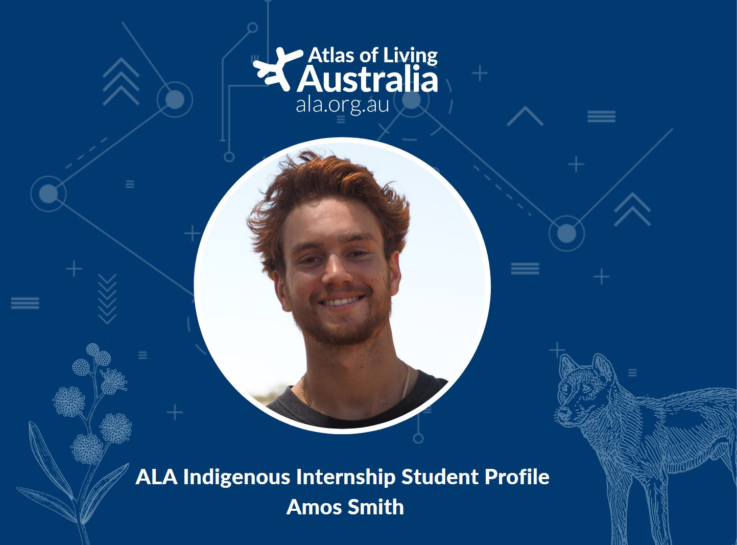 Diving into Dingo data with Amos Smith Atlas of Living Australia