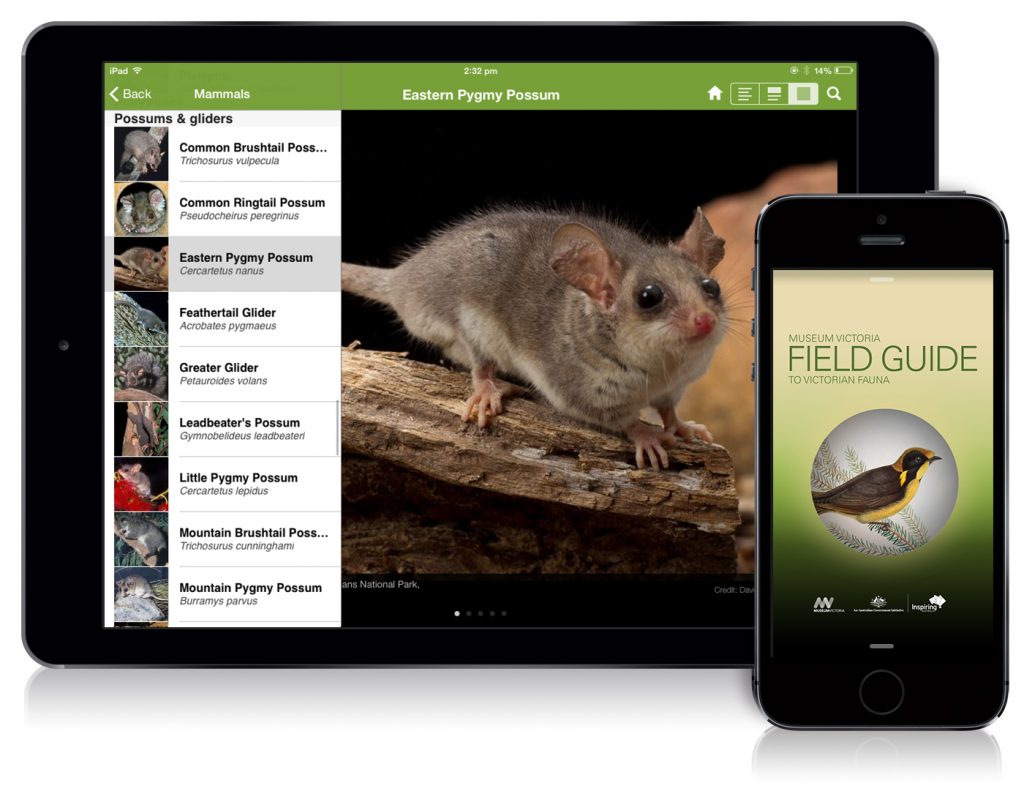 Image of the Museums Victoria Field Guide app