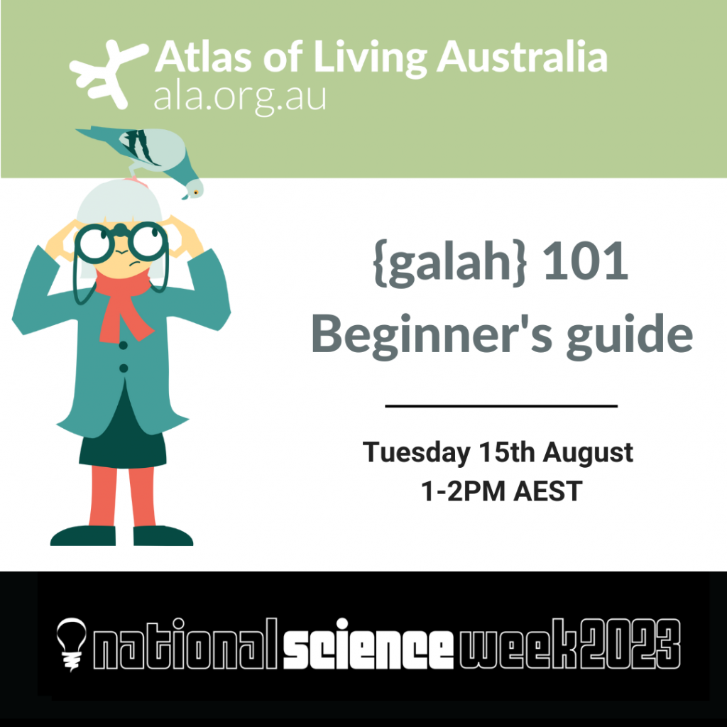 Green and white text with a graphic of a person with a pigeon on their head that reads galah 101 beginners guide. 