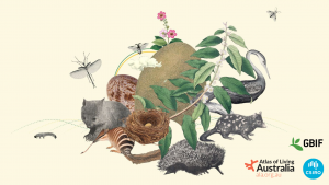cream coloured background with multiple native Australian animals and plants advertising GB30