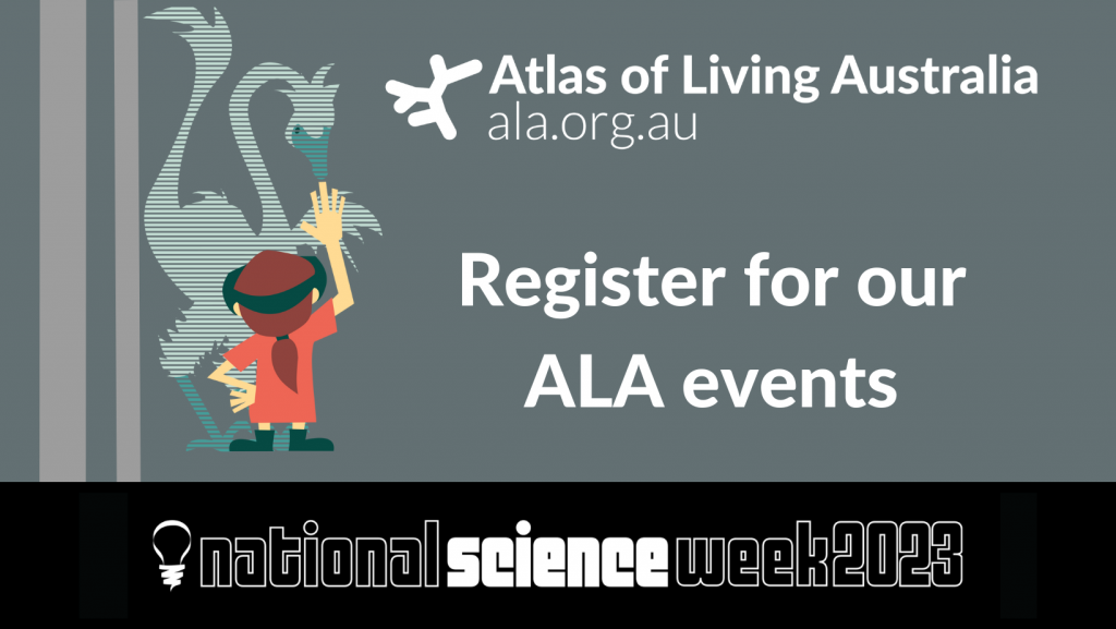 Grey banner with a graphic of a person using AR. Text reads register for our ALA events with the ALA and National Science Wek logos.