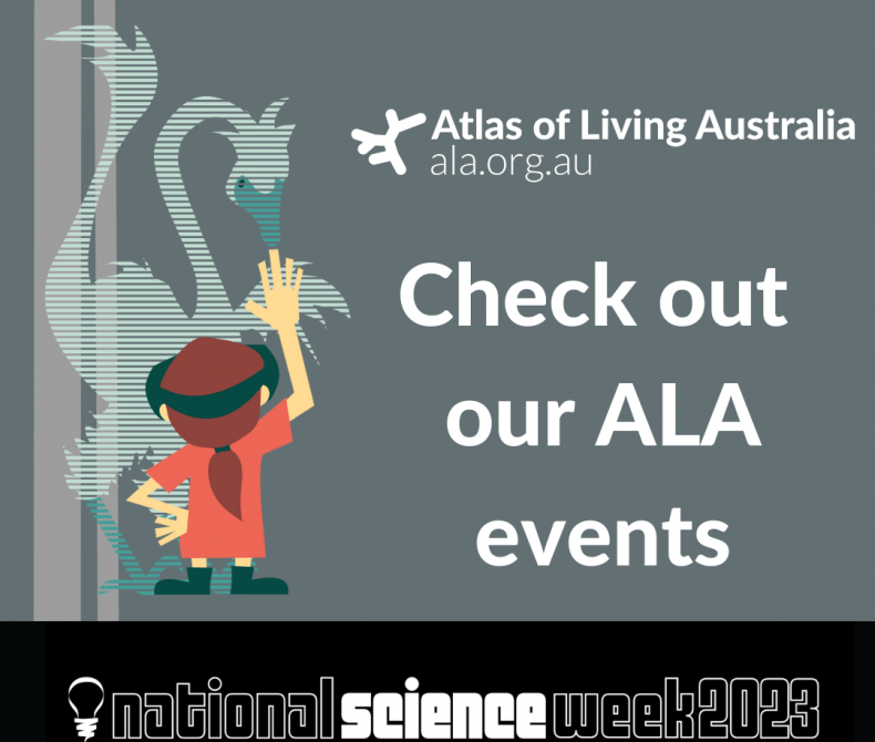 Grey background with graphic of a person using AR to view a bird. Text reads check out our ALA events with the ALA and National Science Week logos