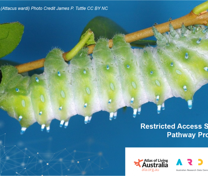 Green caterpillar on a blue background