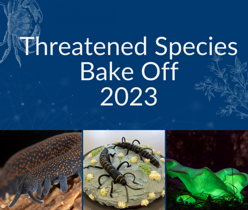 Blue tiles that reads threatened species bake off 2023 with a picture of a velvet worm, a cake of a phasmid and a green mushroom