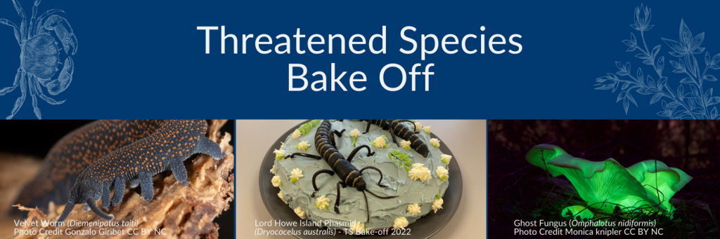Blue tiles that reads threatened species bake off 2023 with a picture of a velvet worm, a cake of a phasmid and a green mushroom