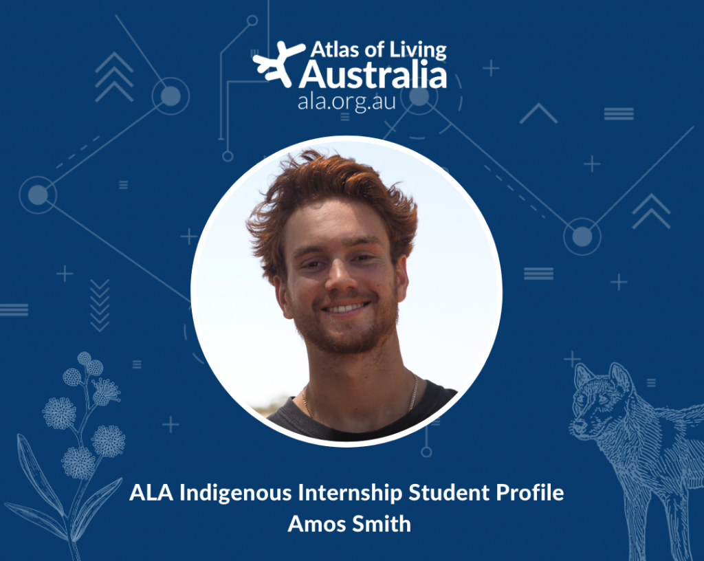 photo of ALA intern Amos, surrounded by blue background with a plant and dingo motif