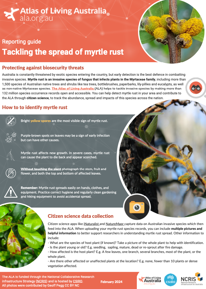 Myrtle Rust reporting guide