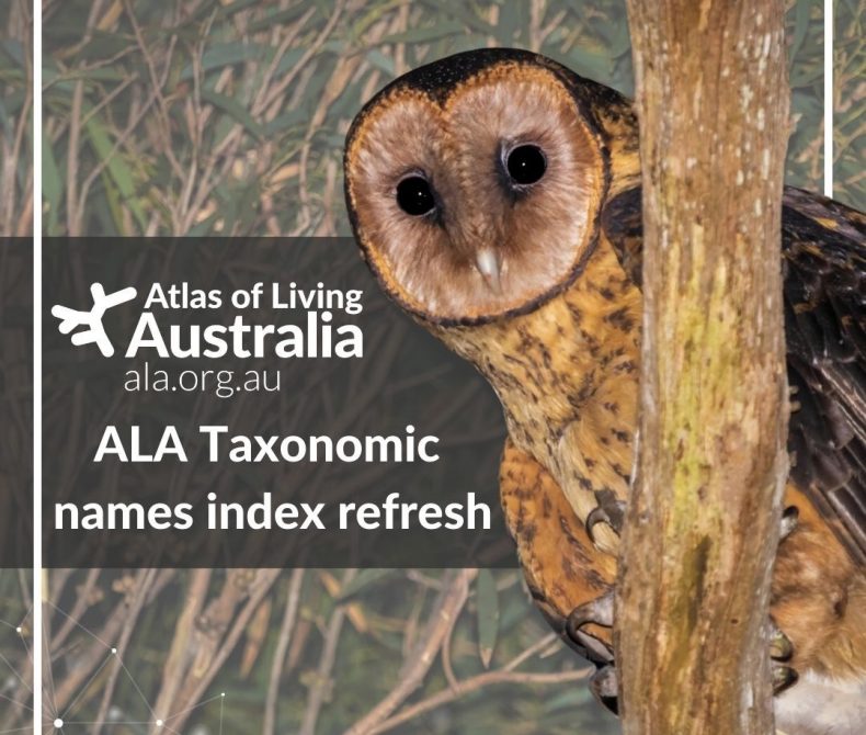 an owl perched on a branch, with the words "ALA taxonomic names index refresh"